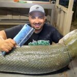 مهارت استاد آمریکایی در برش زدن تمساح ماهی غول پیکر (فیلم)