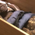 این موجود عجیب ترکیبی از ماهی، میمون و یک خزنده است!/ عکس