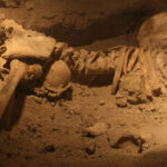 ببینید | کشف اسکلت پیدا شده از یک زنی در حال زایمان در دامغان