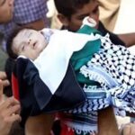 ببینید | لالایی پدر فلسطینی برای نوزاد شهیدش