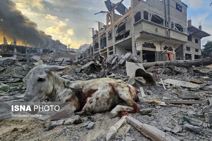 جنایات اسرائیل در غزه