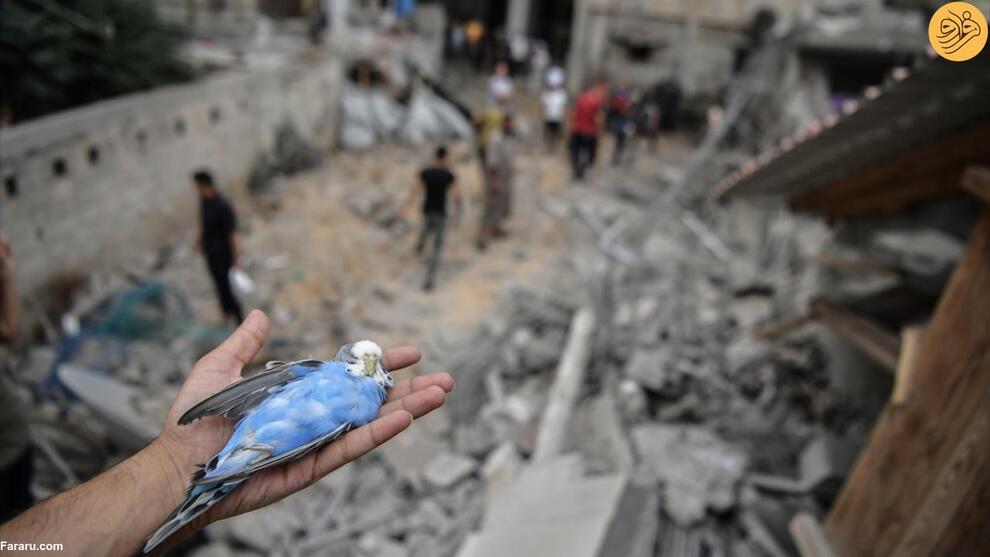 (تصاویر) غزه آماج حملات مرگبار اسرائیل؛ بوی باروت و خون در محله‌های ویران شده