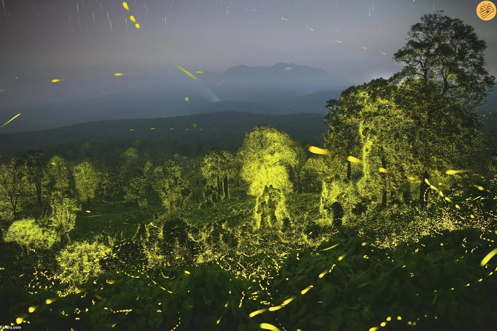 (تصاویر) برندگان مسابقه عکاسی از حیات وحش در سال ۲۰۲۳