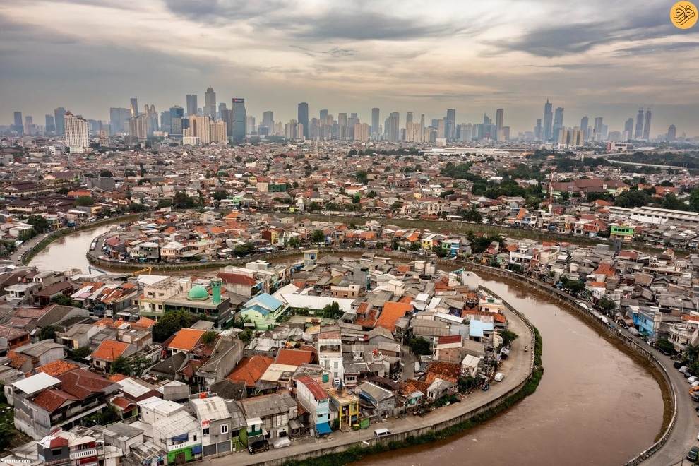 (تصاویر) برندگان مسابقه عکاسی از حیات وحش در سال ۲۰۲۳