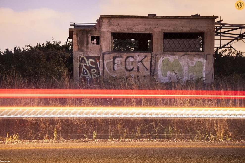 (تصاویر) برندگان مسابقه عکاسی از حیات وحش در سال ۲۰۲۳