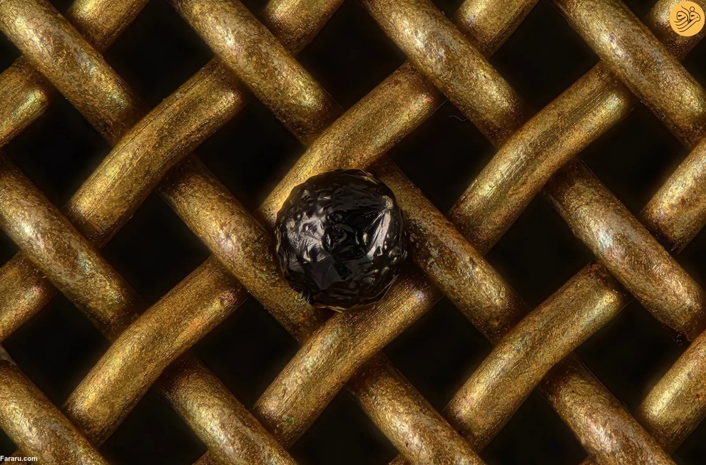 یک ریزشهاب سنگ کریپتوکریستالی. عکس از اسکات پترسون