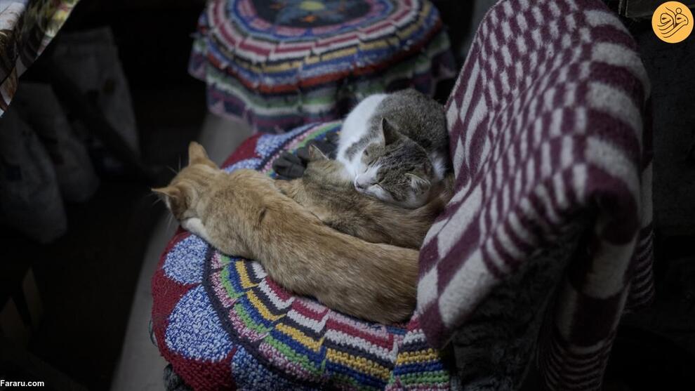 (تصاویر) بازگشت ساکنان روستای ویران شده در جنگ اوکراین