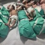 ببینید /  تصاویر تلخ از وضعیت نوزادان نارس در بیمارستان الشفاء غزه در نبود اکسیژن و سوخت