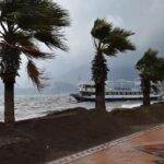 ویدیو / وزش باد بسیار شدید در استان گیرسون ترکیه