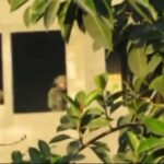 لحظه هدفگیری محل استقرار نظامیان اسرائیلی در غزه و کشته شدن تعدادی از آنها (فیلم)