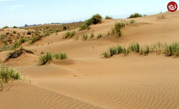 کشف یک گونه جدید «مارمولک» در بیابانهای طبس/ عکس کشف یک گونه جدید «مارمولک» در بیابانهای طبس/ عکس