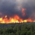 ببینید | آتش سوزی‌ جنگل‌های هیرکانی در مازندران