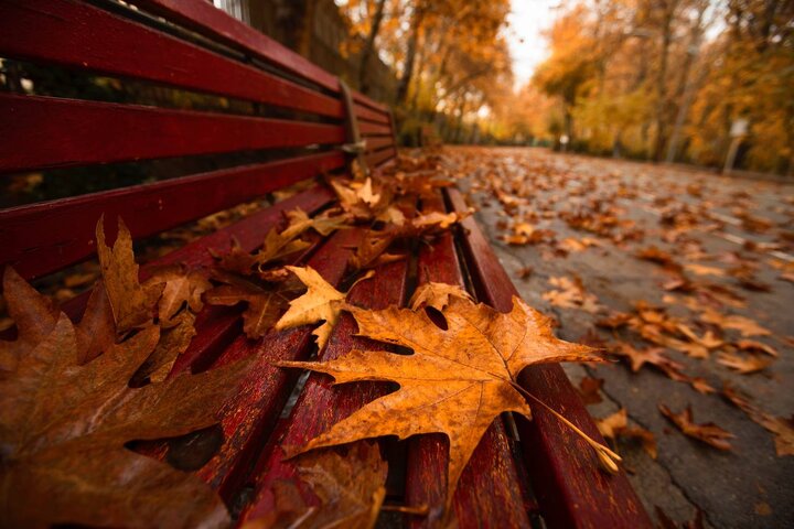حال و هوای پاییزی پارک‌ لاله تهران