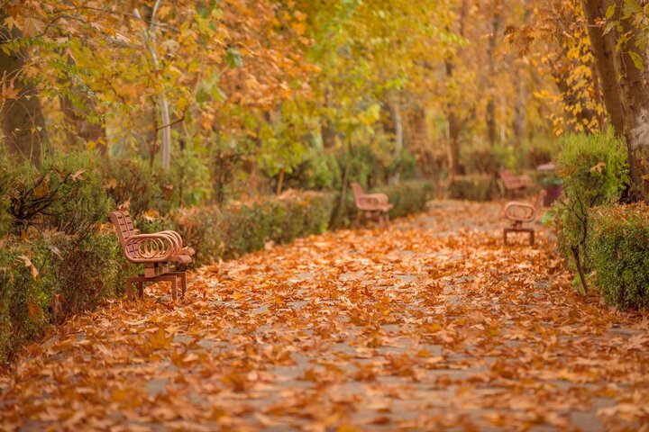 حال و هوای پاییزی پارک‌ لاله تهران