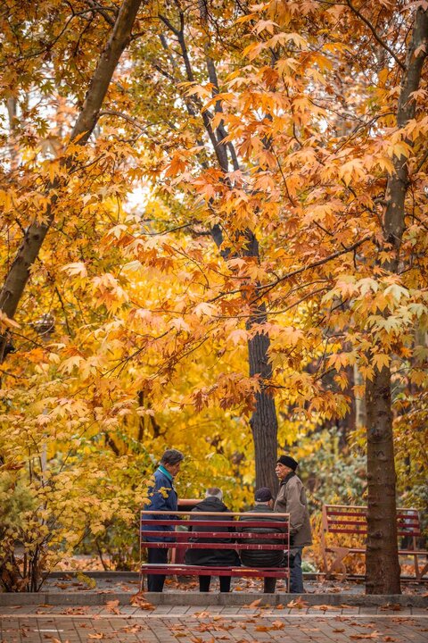 حال و هوای پاییزی پارک‌ لاله تهران