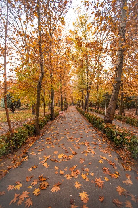 حال و هوای پاییزی پارک‌ لاله تهران