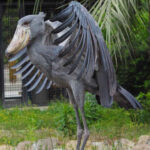 ببینید | لک لک نیل با صدایی همچون مسلسل