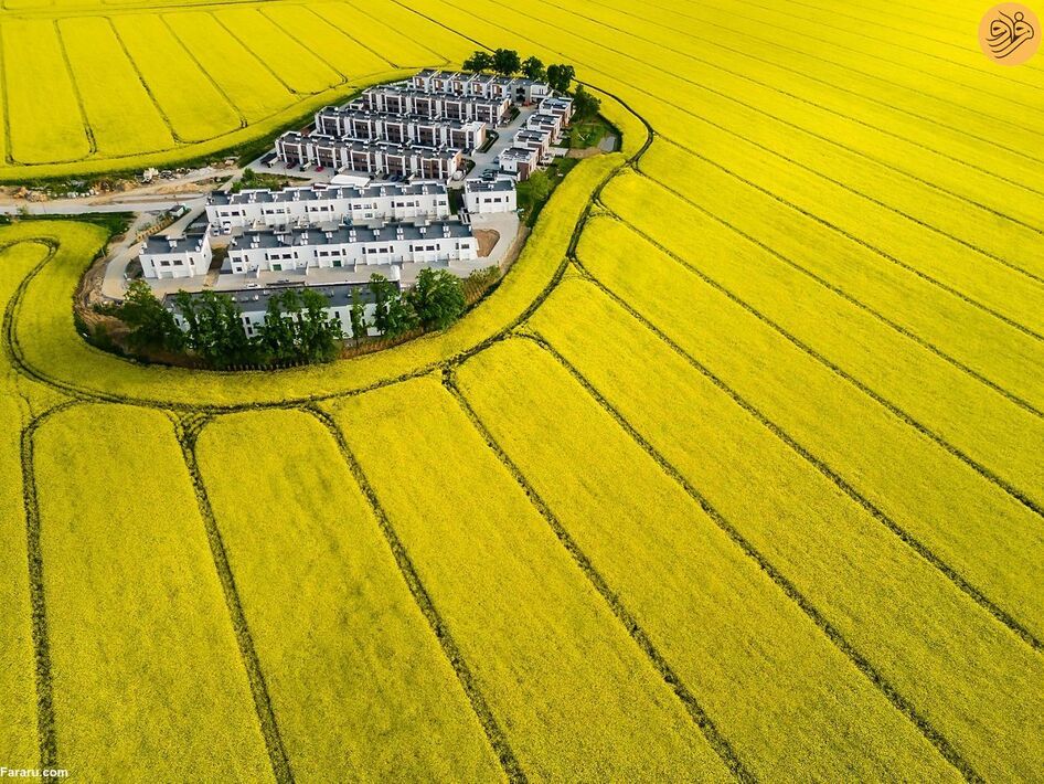 (تصاویر) مسابقه عکاسی حفاظت از طبیعت در سال ۲۰۲۳