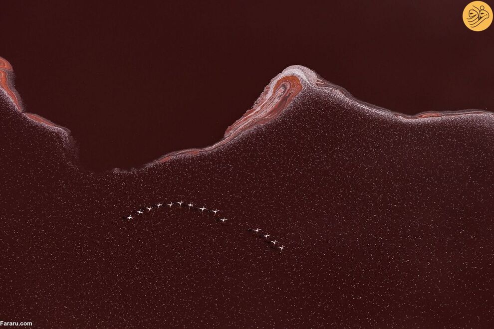 (تصاویر) مسابقه عکاسی حفاظت از طبیعت در سال ۲۰۲۳