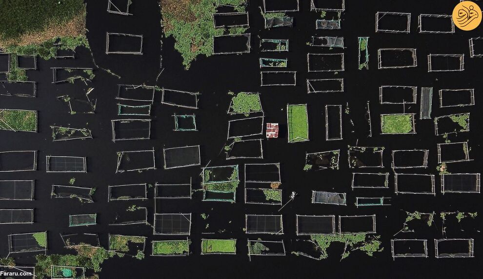 (تصاویر) مسابقه عکاسی حفاظت از طبیعت در سال ۲۰۲۳