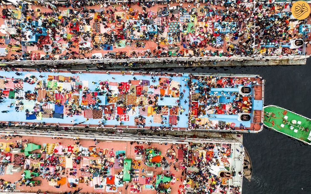 (تصاویر) مسابقه عکاسی حفاظت از طبیعت در سال ۲۰۲۳