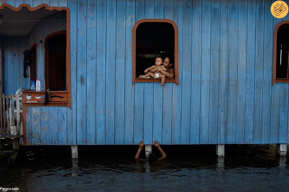 (تصاویر) مسابقه عکاسی حفاظت از طبیعت در سال ۲۰۲۳