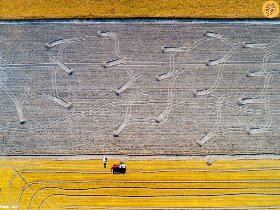 (تصاویر) مسابقه عکاسی حفاظت از طبیعت در سال ۲۰۲۳