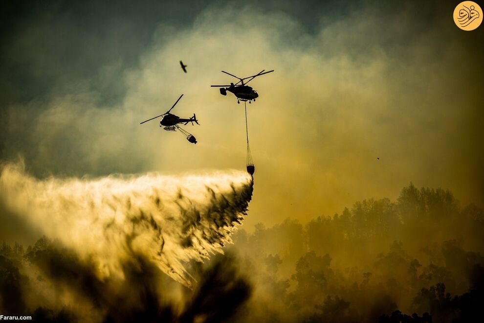 (تصاویر) مسابقه عکاسی حفاظت از طبیعت در سال ۲۰۲۳