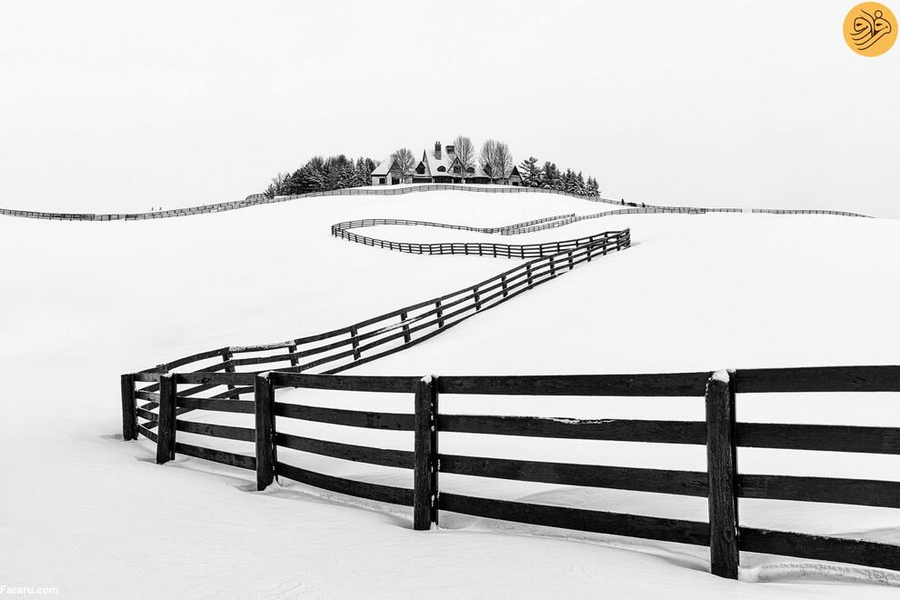 (تصاویر) مسابقه عکاسی حفاظت از طبیعت در سال ۲۰۲۳