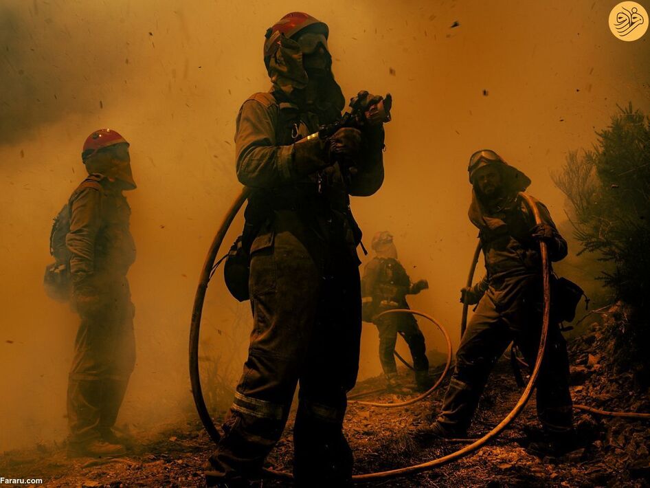 (تصاویر) مسابقه عکاسی حفاظت از طبیعت در سال ۲۰۲۳