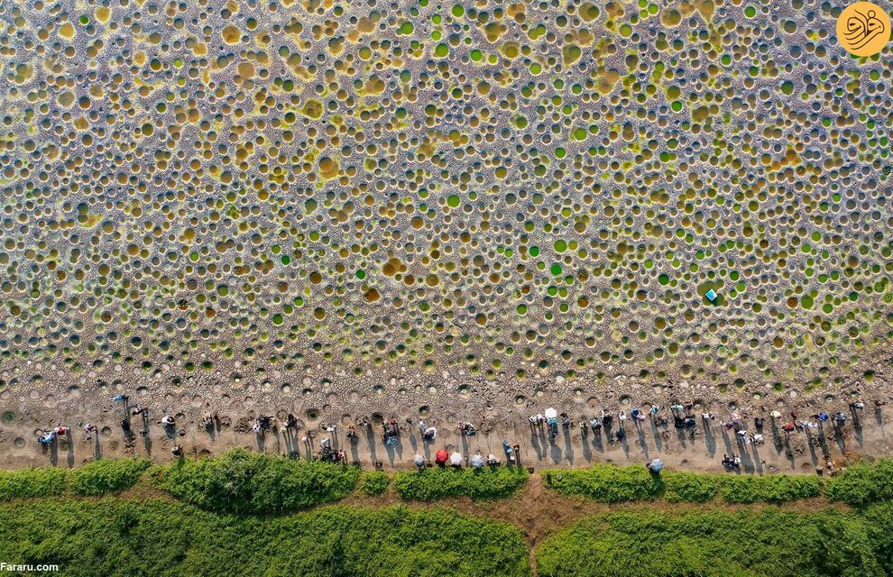 (تصاویر) مسابقه عکاسی حفاظت از طبیعت در سال ۲۰۲۳