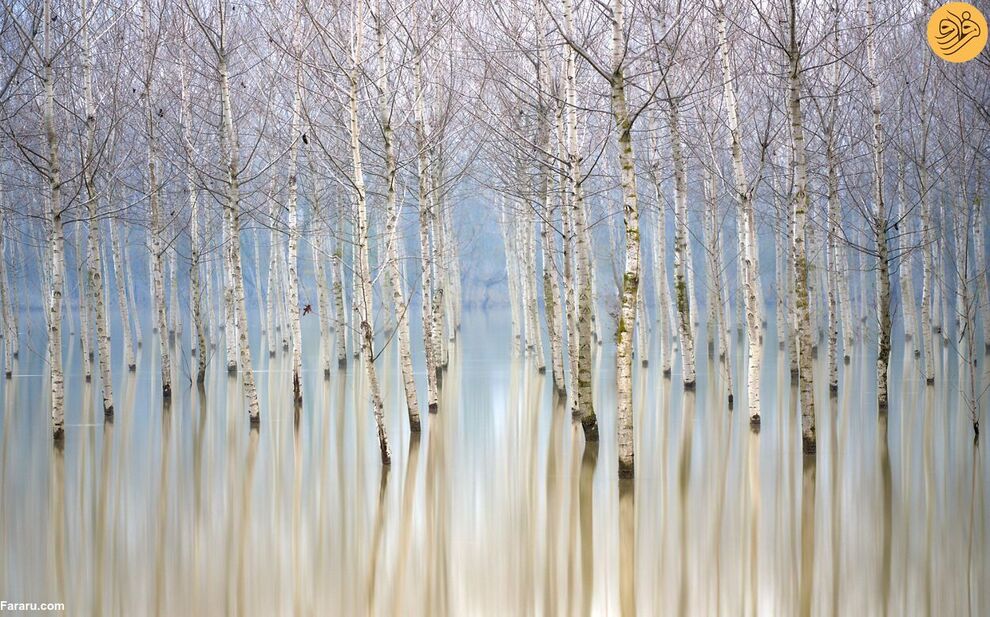 (تصاویر) مسابقه عکاسی حفاظت از طبیعت در سال ۲۰۲۳