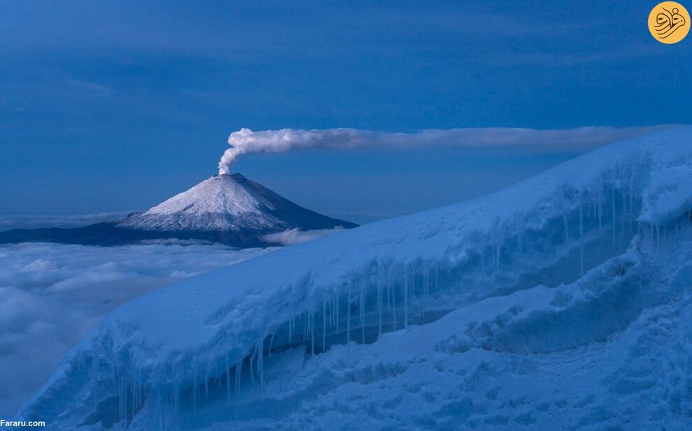 (تصاویر) مسابقه عکاسی حفاظت از طبیعت در سال ۲۰۲۳