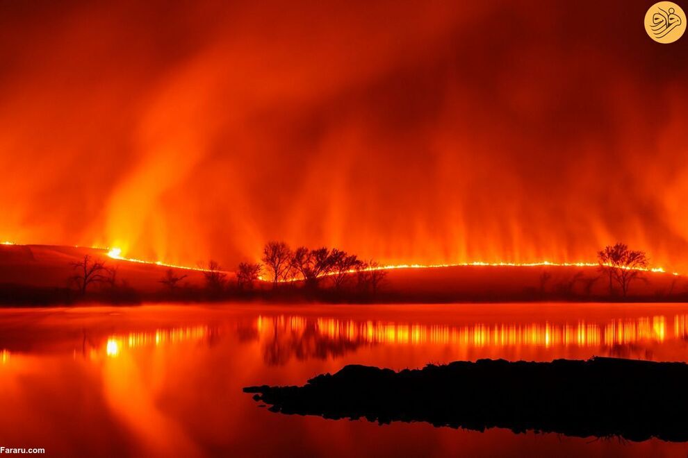 (تصاویر) مسابقه عکاسی حفاظت از طبیعت در سال ۲۰۲۳