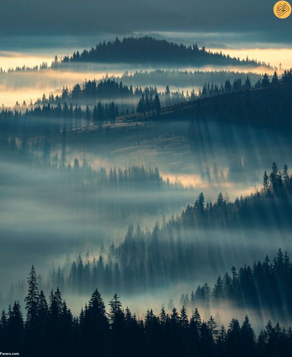 (تصاویر) مسابقه عکاسی حفاظت از طبیعت در سال ۲۰۲۳