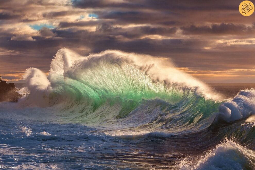 (تصاویر) مسابقه عکاسی حفاظت از طبیعت در سال ۲۰۲۳