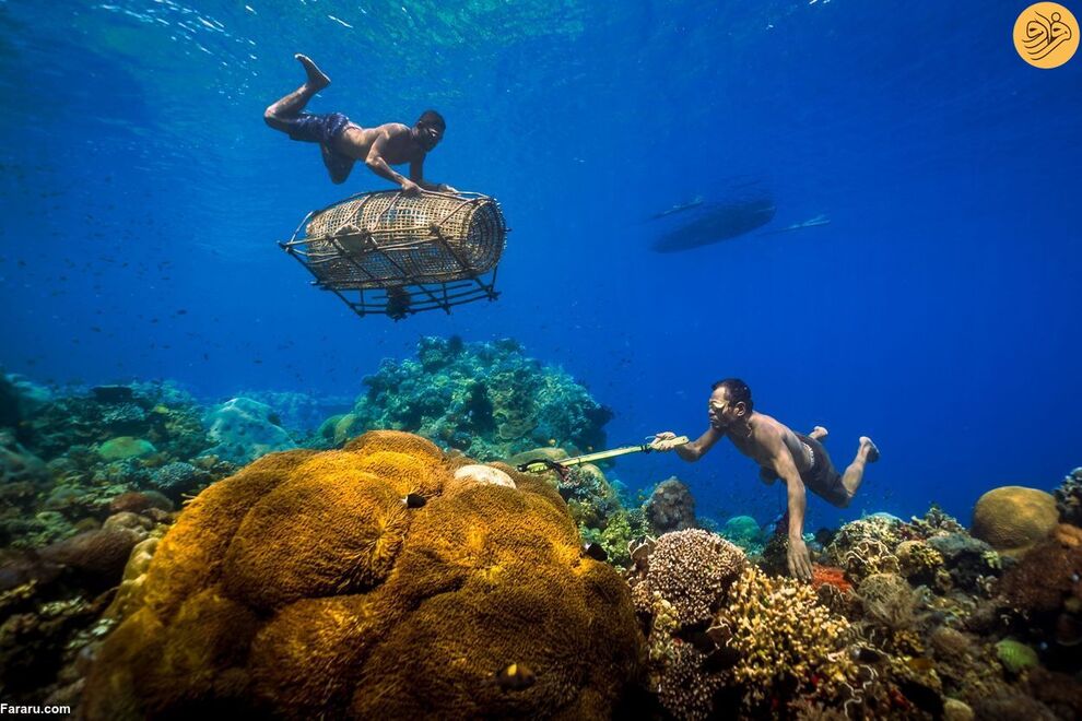 (تصاویر) مسابقه عکاسی حفاظت از طبیعت در سال ۲۰۲۳