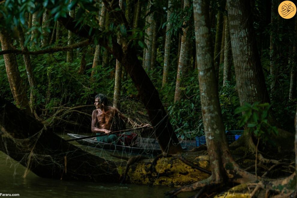 (تصاویر) مسابقه عکاسی حفاظت از طبیعت در سال ۲۰۲۳