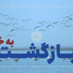 فیلم | بازگشت پرندگان به خلیج گرگان