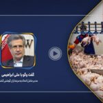فیلم| آخرین وضعیت تولید مرغ در کشور
