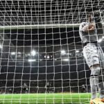 یک گل به خودی عجیب (فیلم)