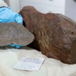 این سنگ، یک گنج غول‌پیکر از آب درآمد!/ عکس