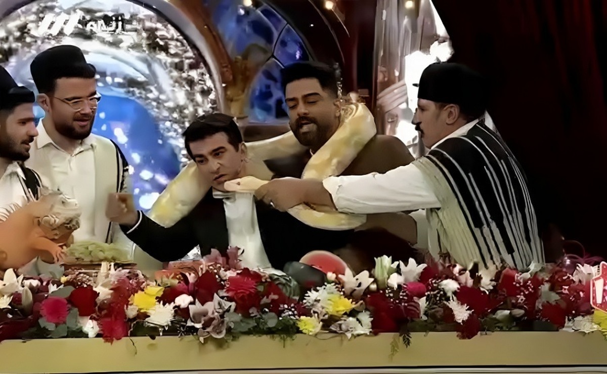 بوسیدن مار عظیم الجثه توسط یوسف تیموری روی آنتن زنده تلویزیون (فیلم)