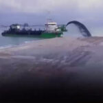 ابرپروژه بی سروصدای اسرائیل برای رقابت با کانال سوئز که از وسط غزه می‌گذرد؛ آیا این پروژه می‌تواند دلیل حمله اسرائیل به غزه باشد؟ (فیلم)