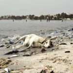 (تصاویر) ساحل توریستی که به آلوده‌ترین نقطه داکار تبدیل شد