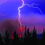 ببینید | زمانی که صاعقه به یک درخت در جنگل می‌خورد چه باید کرد؟