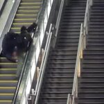 ببینید | لحظه هولناک کشته شدن یک زن مقابل چشمان فرزندش با پله برقی