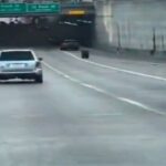 ببینید | حادثه‌ای عجیب برای یک تریلی 18 چرخ وسط جاده!