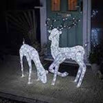 ببینید | درگیر عجیب خرس سیاه با گوزن‌های جشن کریسمس