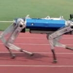 ببینید | سگ رباتیک رکورد دو ۱۰۰ متر گینس را شکست!